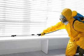 Best Bee and Wasp Removal  in Bunkie, LA